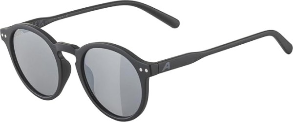 ALPINA Sneek - Freizeitbrille
