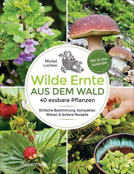 Wilde Ernte aus dem Wald