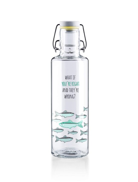 SOULBOTTLES Trinkflasche aus Glas | Edelstahl- & Glasflaschen | Flaschen & Behälter | Ausrüstung