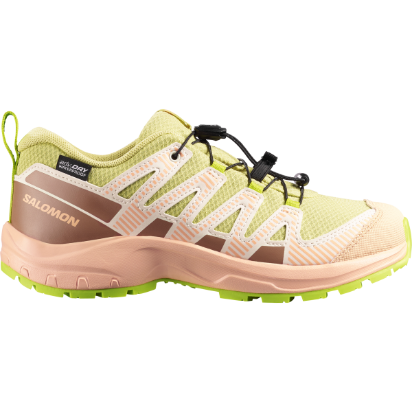 SALOMON SHOES XA PRO V8 WP J Endive/Burro/Almond