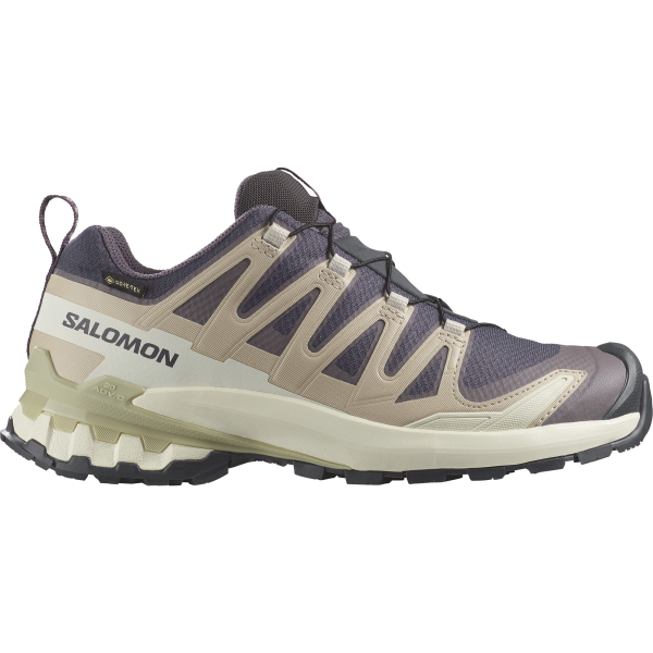 SALOMON SHOES XA PRO 3D V9 GTX W 9 Iron/Oxford/A