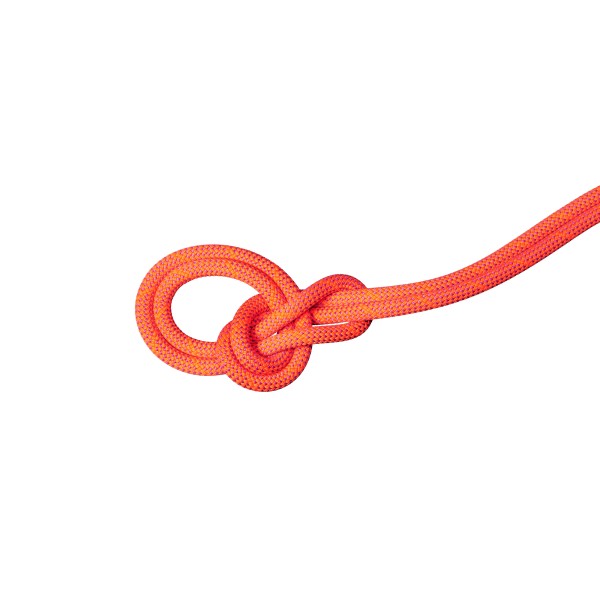 MAMMUT "9.8 Crag Dry 70m"