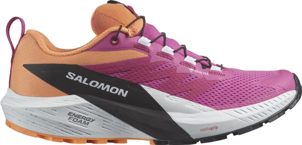 SALOMON Damen Trailrunningschuhe SHOES SENSE RIDE 5 GTX W Rose V/Wht/Bpar