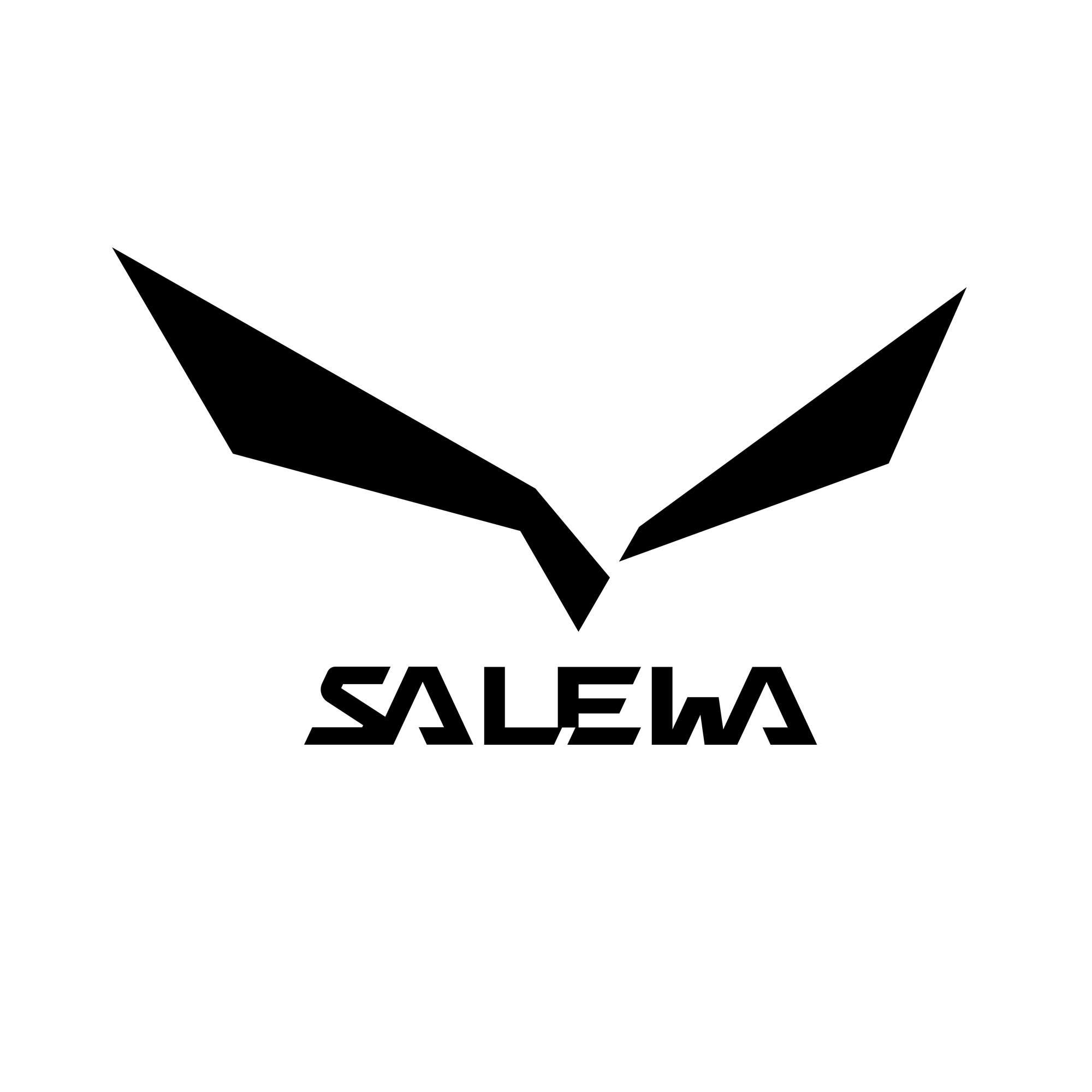 SALEWA